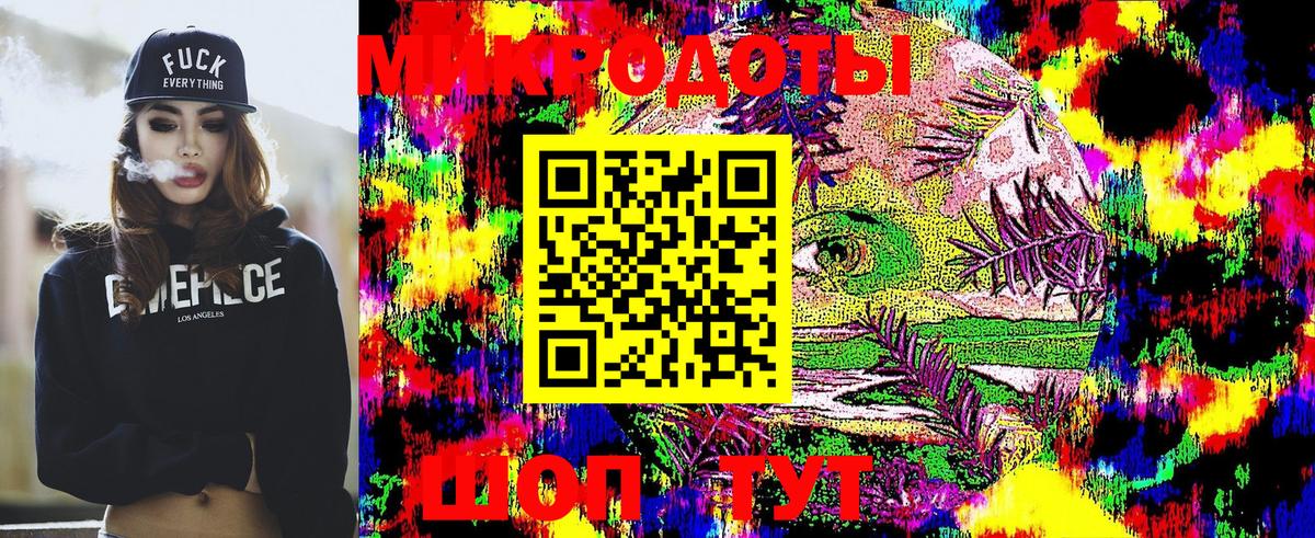 Псилоцибиновые грибы Psilocybine cubensis Ртищево